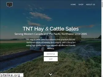 tnthay.com