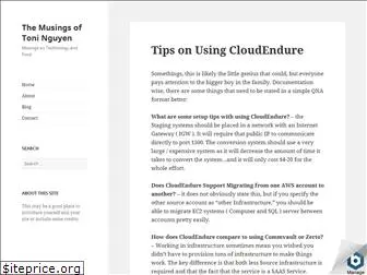 toninguyen.net