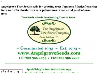 trees-seeds.com
