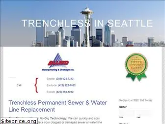 www.trenchlessinseattle.com