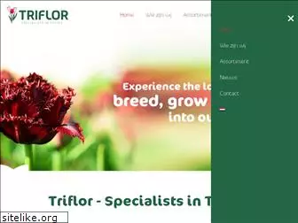 triflor.nl