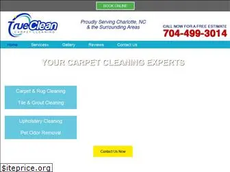 true-clean.com