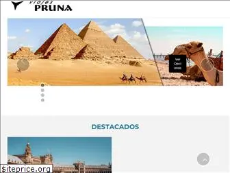 viajespruna.com.ar