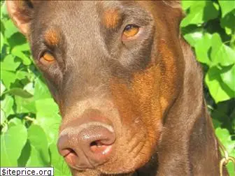 vicaral-dobermans.com