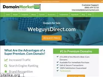 webguysdirect.com